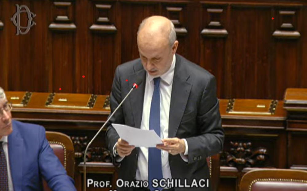 Il Piano pandemico? "Cinquecento milioni in tre anni e nessun copia e incolla"